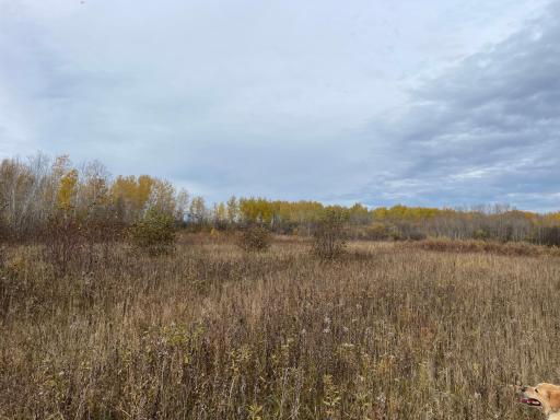 29026 Van Pelt Road NW, Grygla, MN 56727