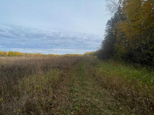 29026 Van Pelt Road NW, Grygla, MN 56727