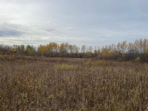 29026 Van Pelt Road NW, Grygla, MN 56727
