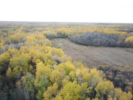 29026 Van Pelt Road NW, Grygla, MN 56727