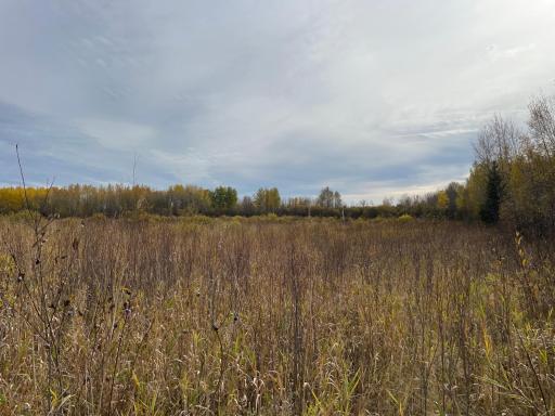29026 Van Pelt Road NW, Grygla, MN 56727