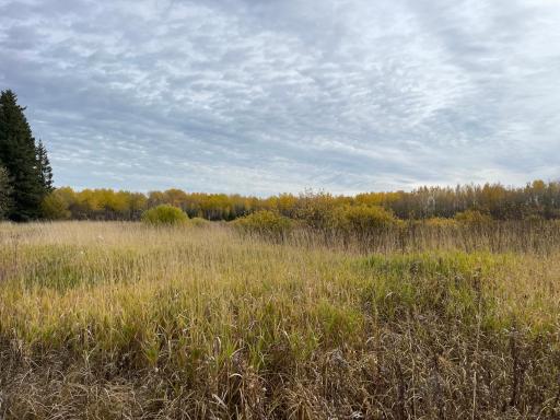 29026 Van Pelt Road NW, Grygla, MN 56727