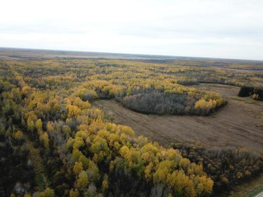 29026 Van Pelt Road NW, Grygla, MN 56727