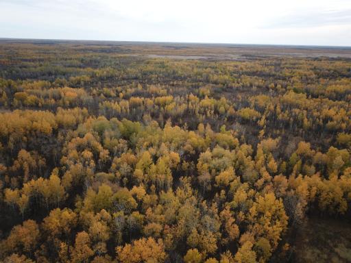 29026 Van Pelt Road NW, Grygla, MN 56727