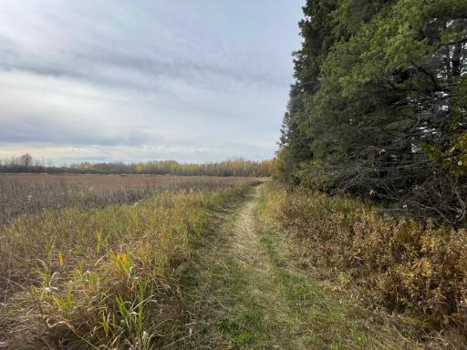 29026 Van Pelt Road NW, Grygla, MN 56727