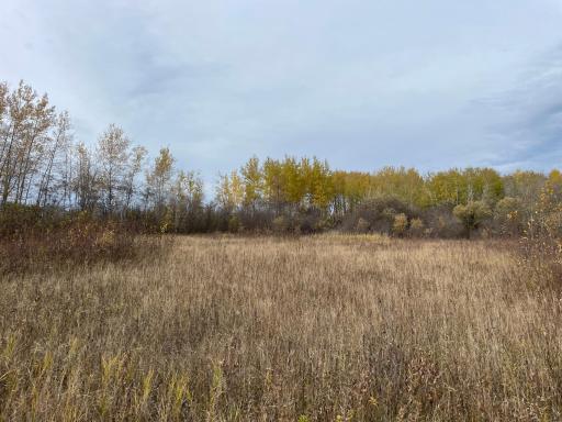 29026 Van Pelt Road NW, Grygla, MN 56727