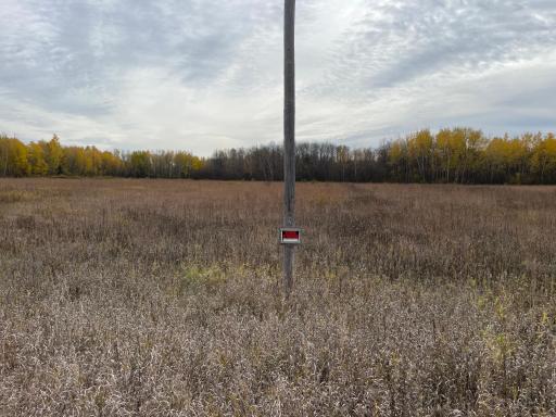 29026 Van Pelt Road NW, Grygla, MN 56727