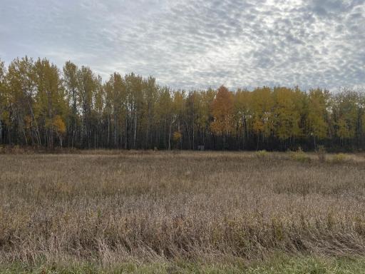 29026 Van Pelt Road NW, Grygla, MN 56727