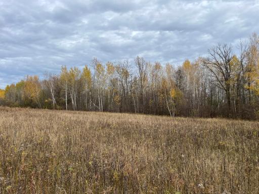 29026 Van Pelt Road NW, Grygla, MN 56727