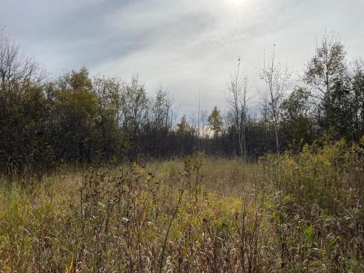 29026 Van Pelt Road NW, Grygla, MN 56727