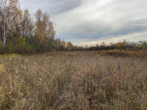 29026 Van Pelt Road NW, Grygla, MN 56727