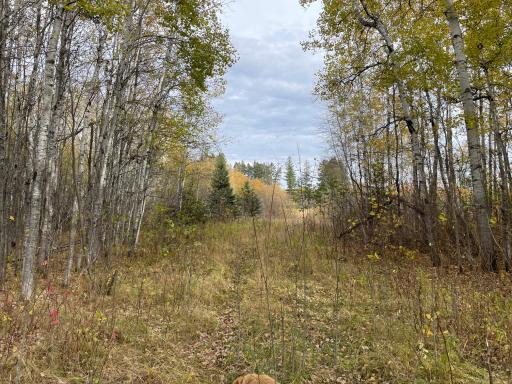29026 Van Pelt Road NW, Grygla, MN 56727