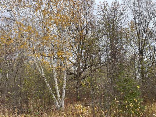 29026 Van Pelt Road NW, Grygla, MN 56727