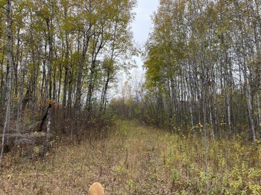 29026 Van Pelt Road NW, Grygla, MN 56727