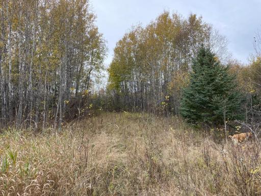 29026 Van Pelt Road NW, Grygla, MN 56727