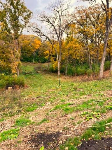 5008 Scenic Drive SW, Rochester, MN 55902