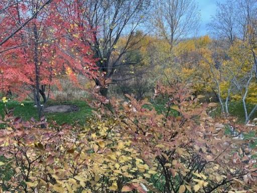 Photo for 2540 Ocarina Drive, Sauk Rapids, MN 56379 - Listing #6454022 2540 Ocarina Drive, Sauk Rapids, MN 56379