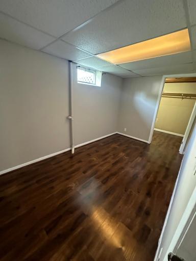 Lower Level extra room.jpg