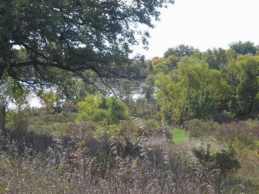 22270 CSAH 9 S, Darwin, MN 55324