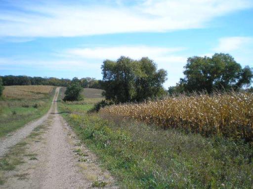 22270 CSAH 9 S, Darwin, MN 55324