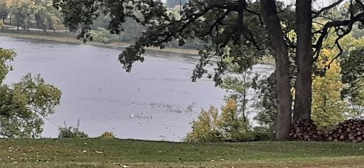 22270 CSAH 9 S, Darwin, MN 55324