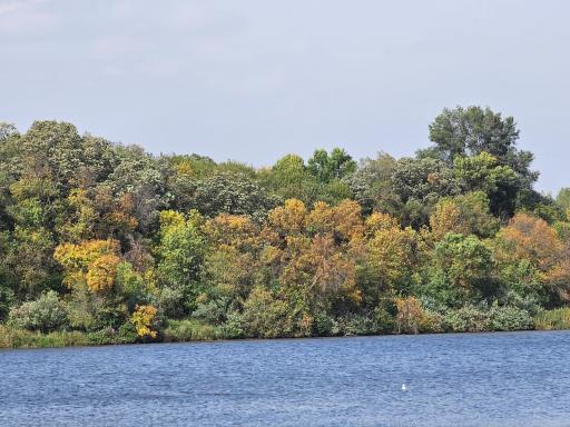 22270 CSAH 9 S, Darwin, MN 55324
