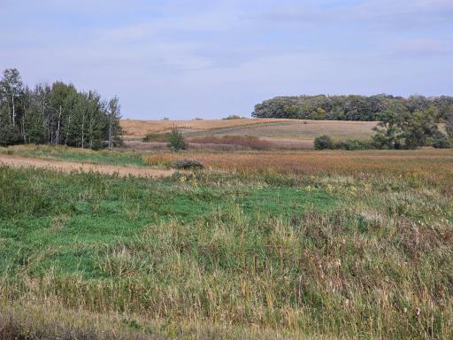 22270 CSAH 9 S, Darwin, MN 55324