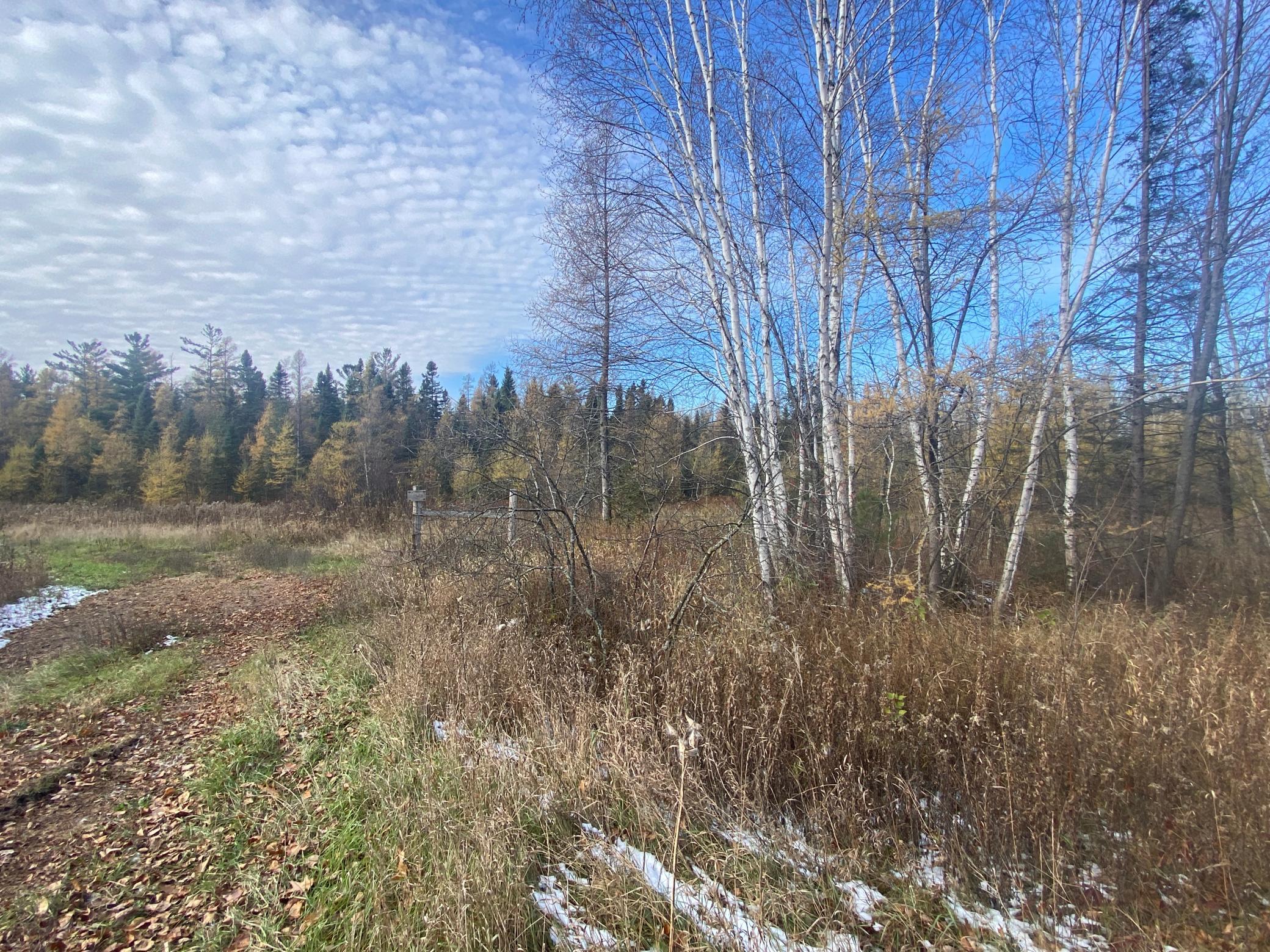 Photo for xxx Norway Spruce Road, Finlayson, MN 55735 - Listing #6456258 Photo 1