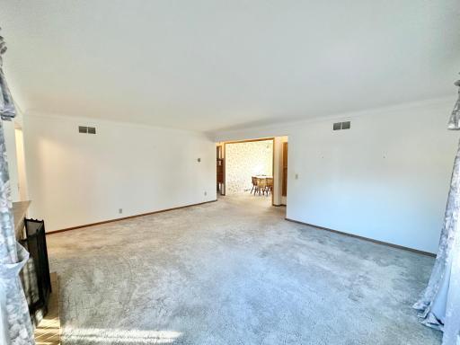 515 W Van Dusen Street, Springfield, MN 56087