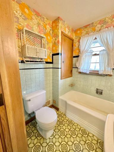 515 W Van Dusen Street, Springfield, MN 56087