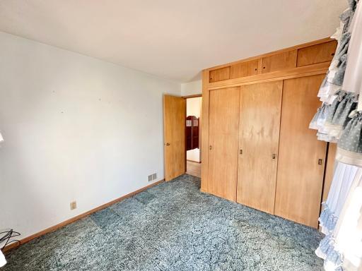 515 W Van Dusen Street, Springfield, MN 56087