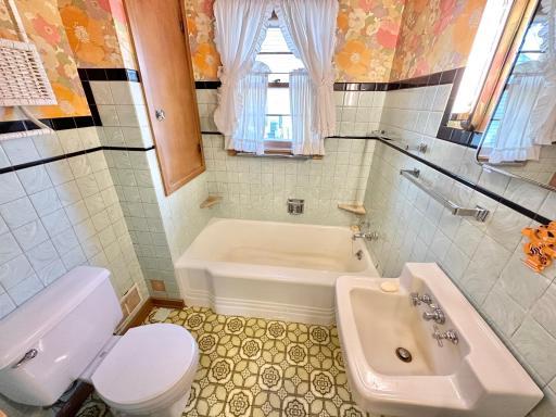 515 W Van Dusen Street, Springfield, MN 56087