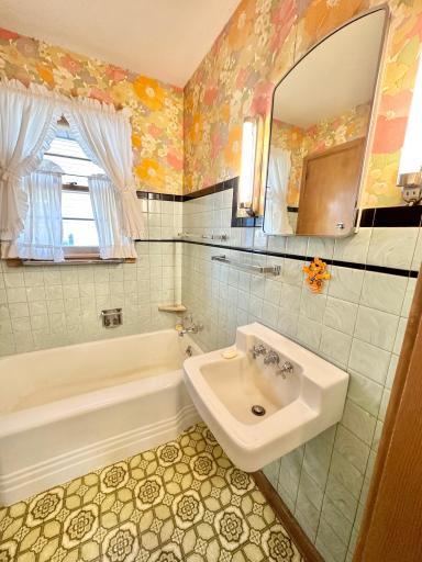 515 W Van Dusen Street, Springfield, MN 56087