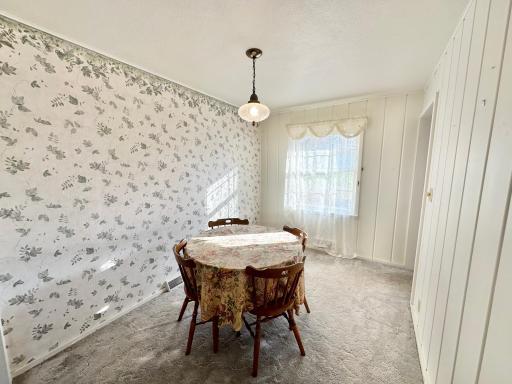 515 W Van Dusen Street, Springfield, MN 56087