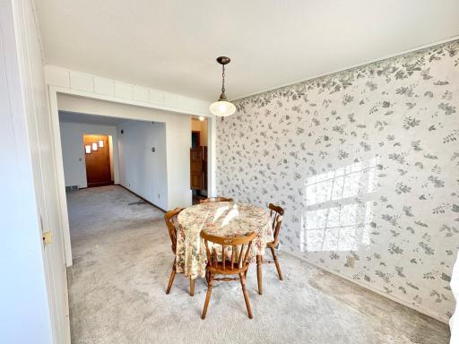 515 W Van Dusen Street, Springfield, MN 56087