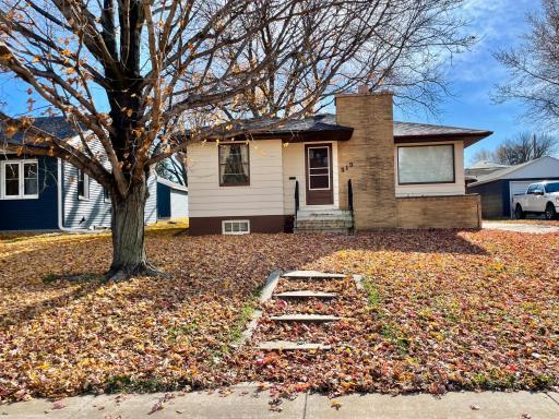 515 W Van Dusen Street, Springfield, MN 56087