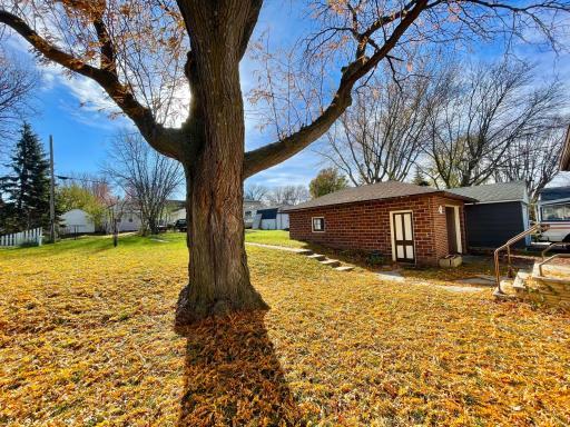 515 W Van Dusen Street, Springfield, MN 56087