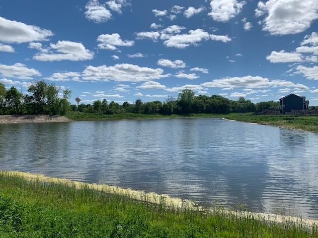One of the community's beautiful wetlands.