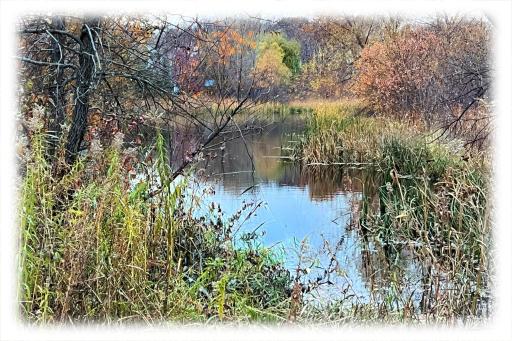 4105 Wild Meadows Drive, Hamel, MN 55340
