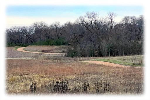 4105 Wild Meadows Drive, Hamel, MN 55340