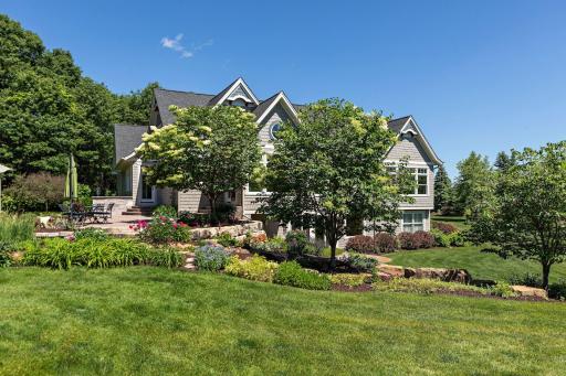 Pics of the yard. These are Japanese lilac trees.