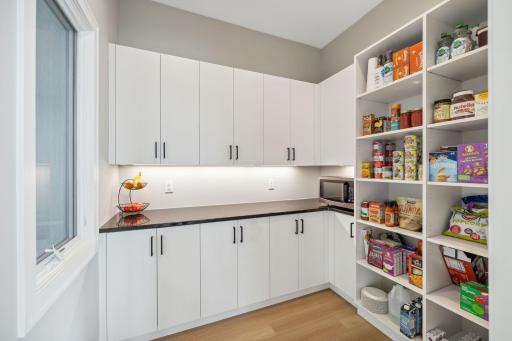Enormous pantry with window overlooking the sport court