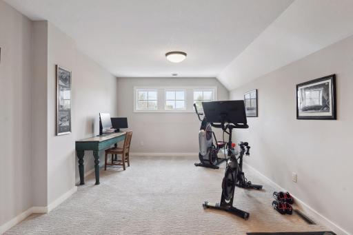 7081 Halstead Drive, Minnetrista, MN 55364