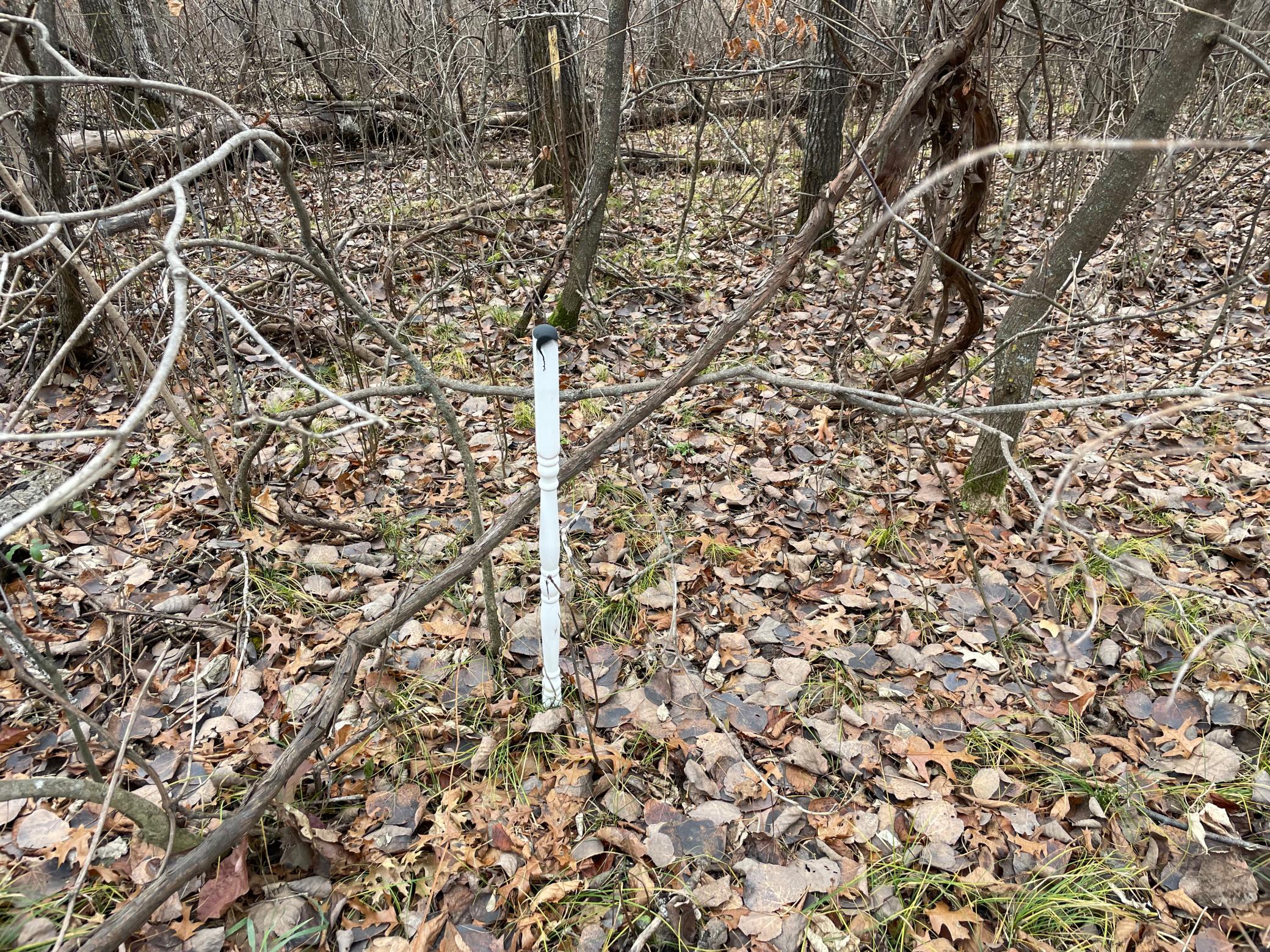 northwest corner post