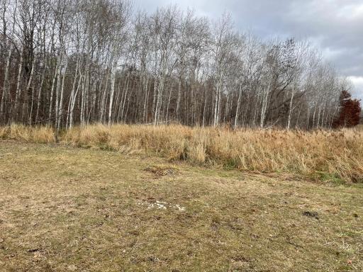 39xxx Osage Drive, Browerville, MN 56438