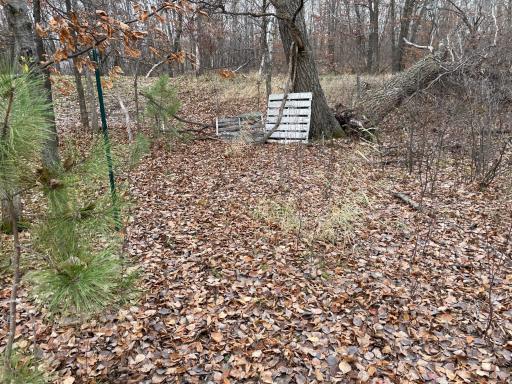 39xxx Osage Drive, Browerville, MN 56438