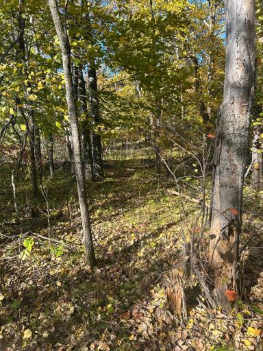 39xxx Osage Drive, Browerville, MN 56438
