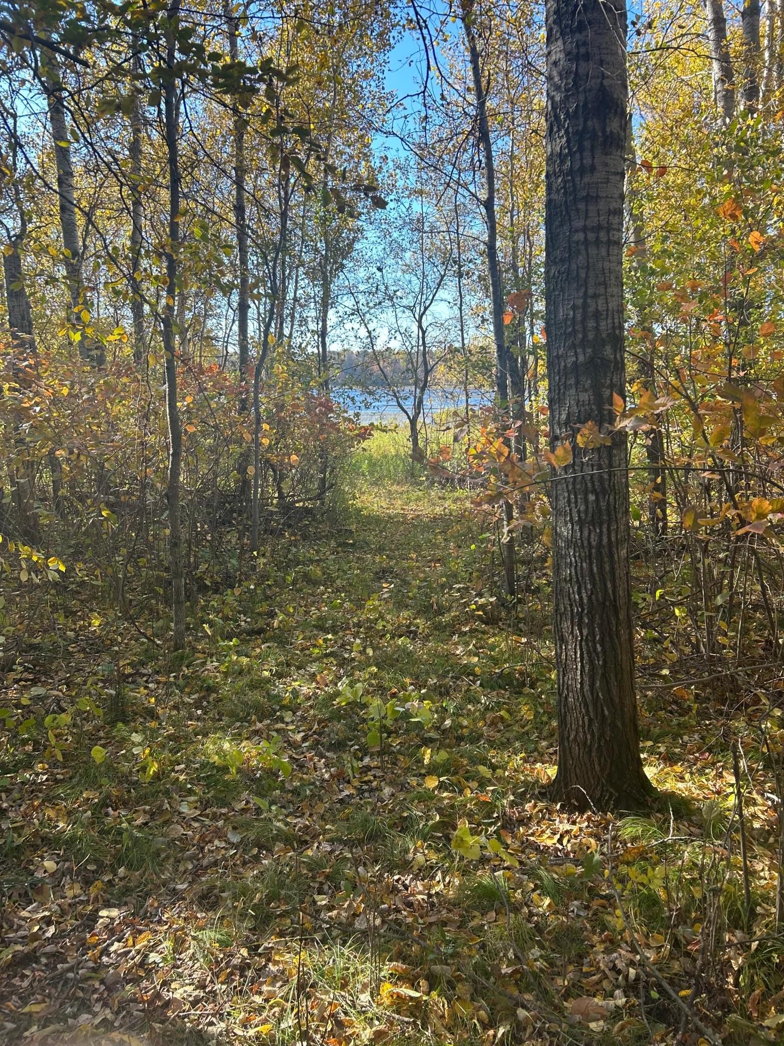 Property photo for 39xxx Osage Drive, Browerville, MN 56438