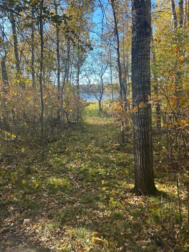 39xxx Osage Drive, Browerville, MN 56438