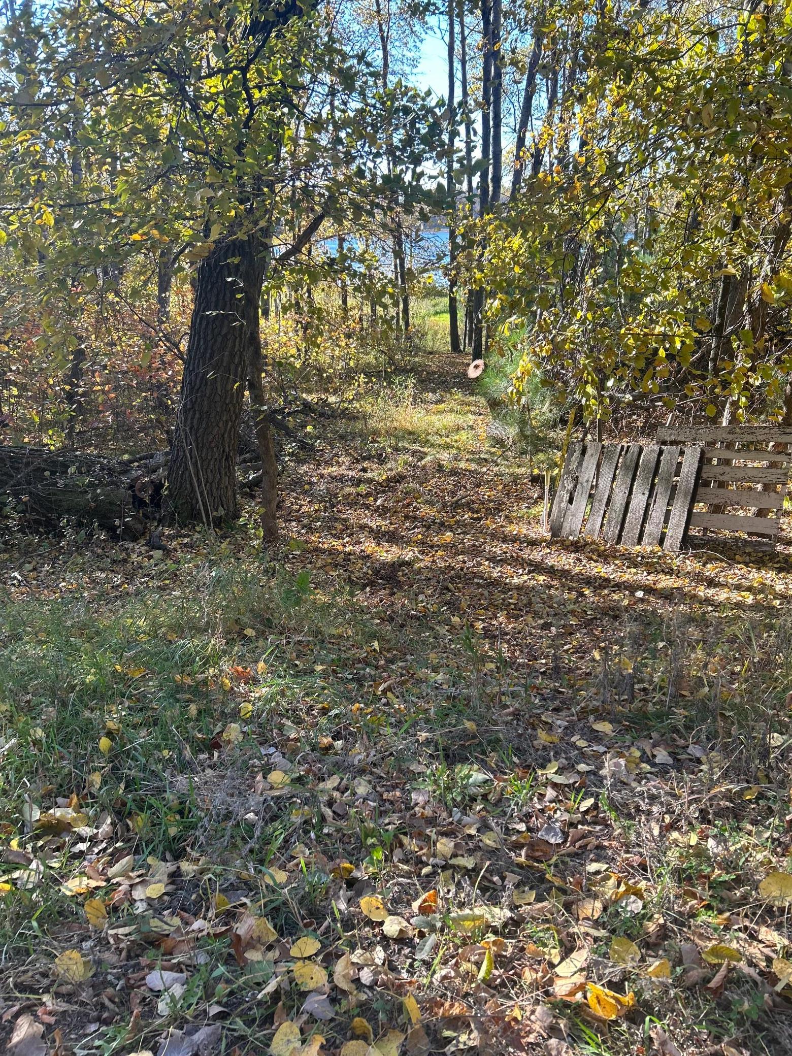 Trail to lake